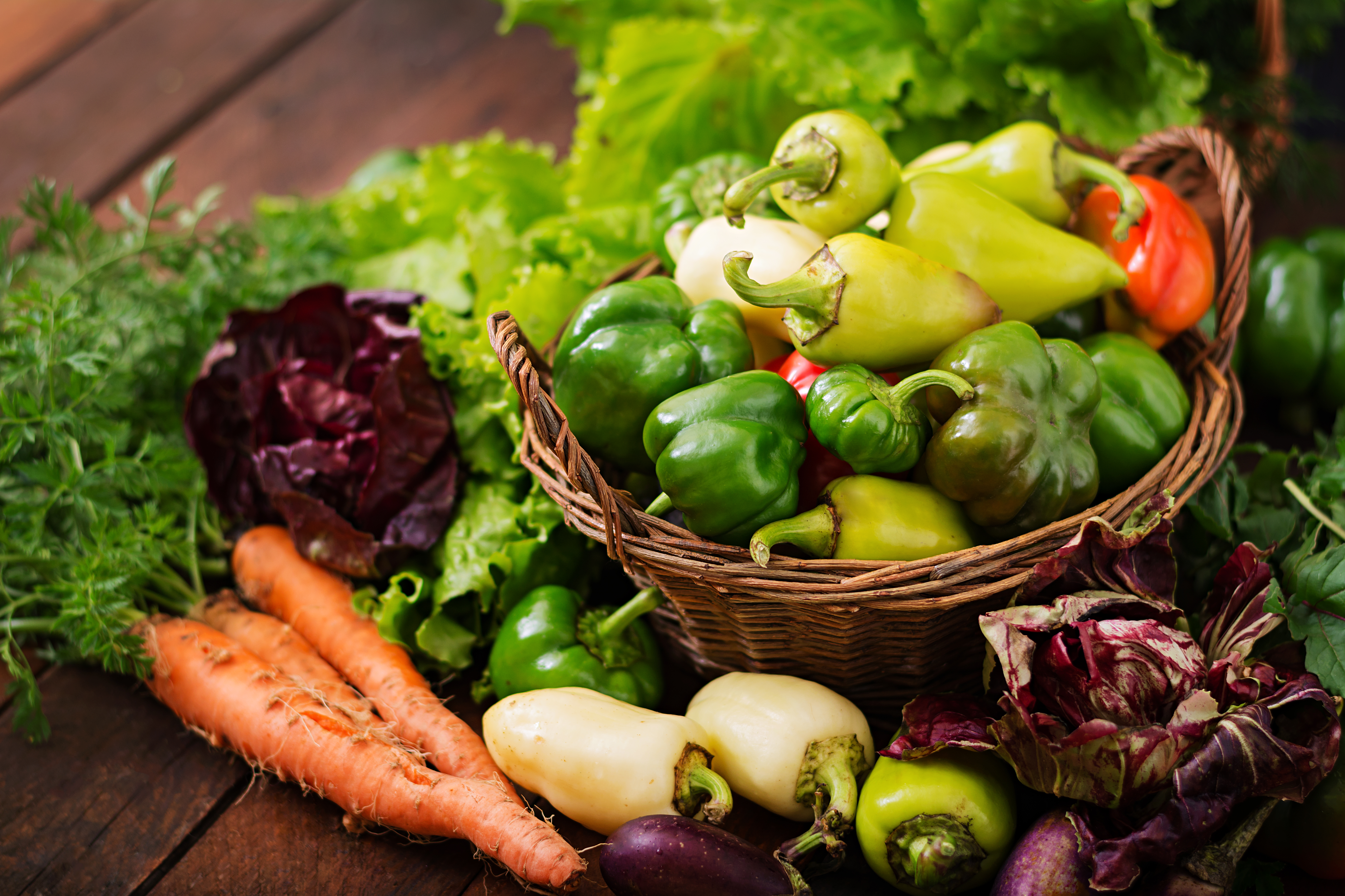 Légumes biologiques