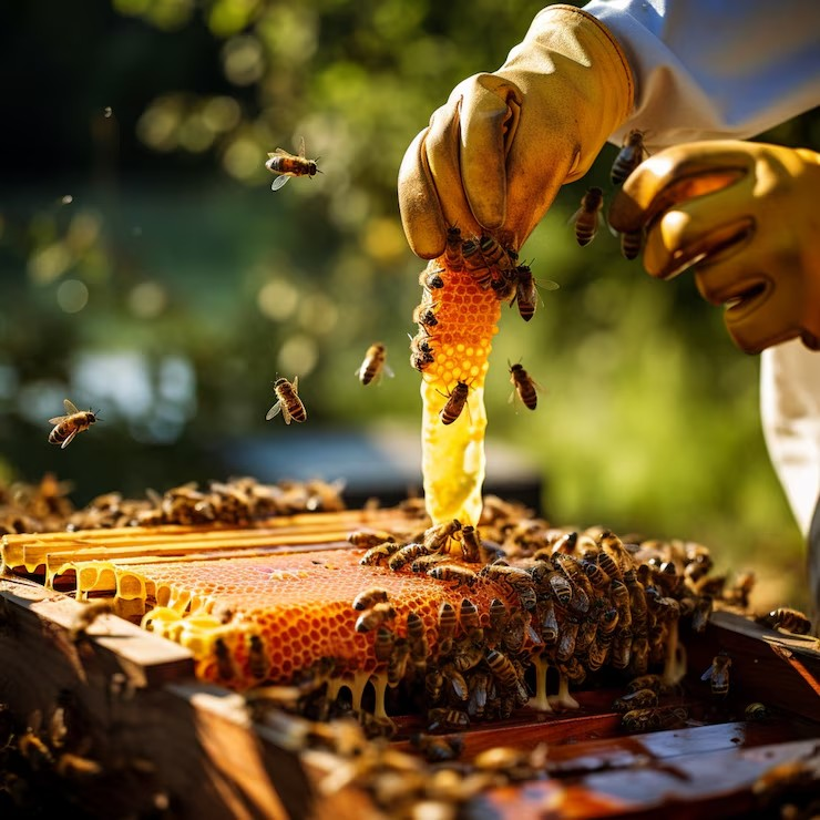 Abeilles