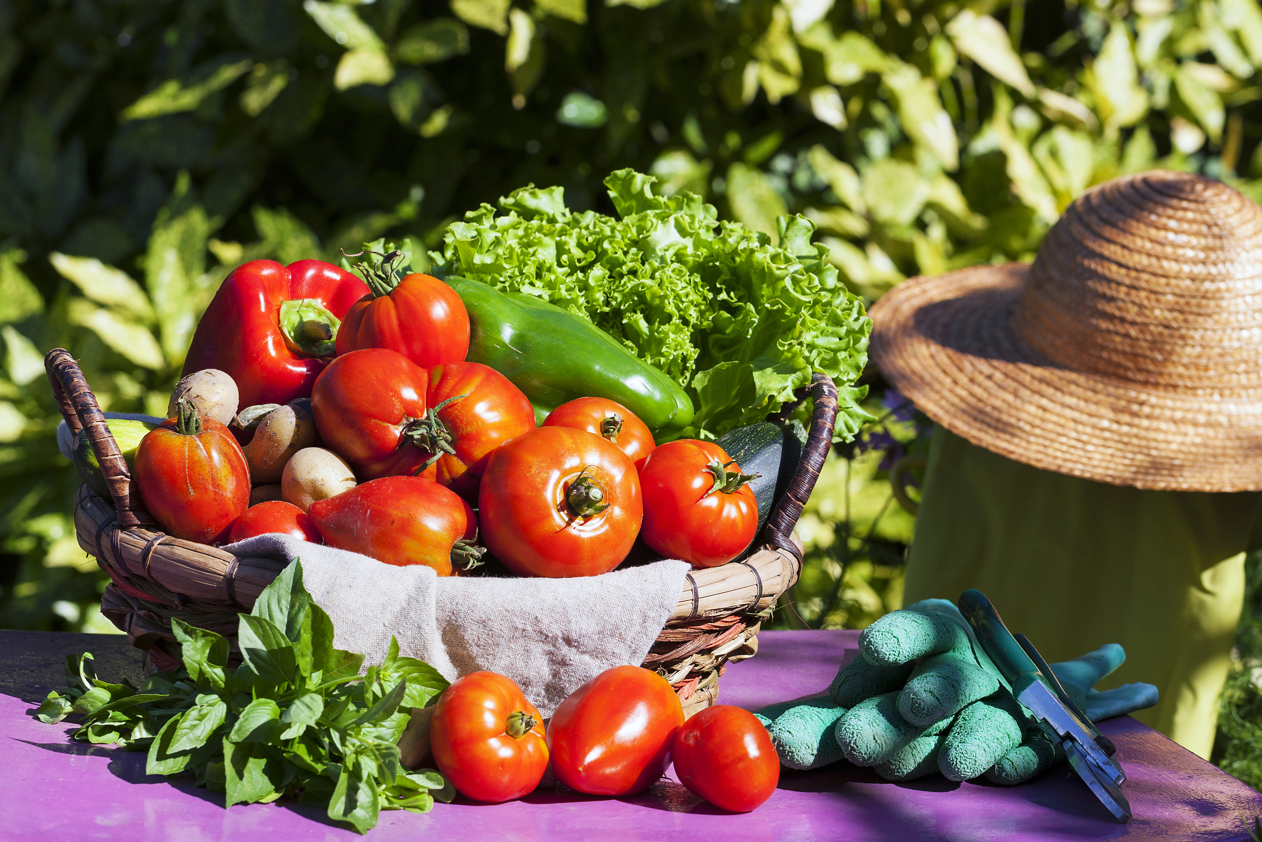 Légumes bio assortis